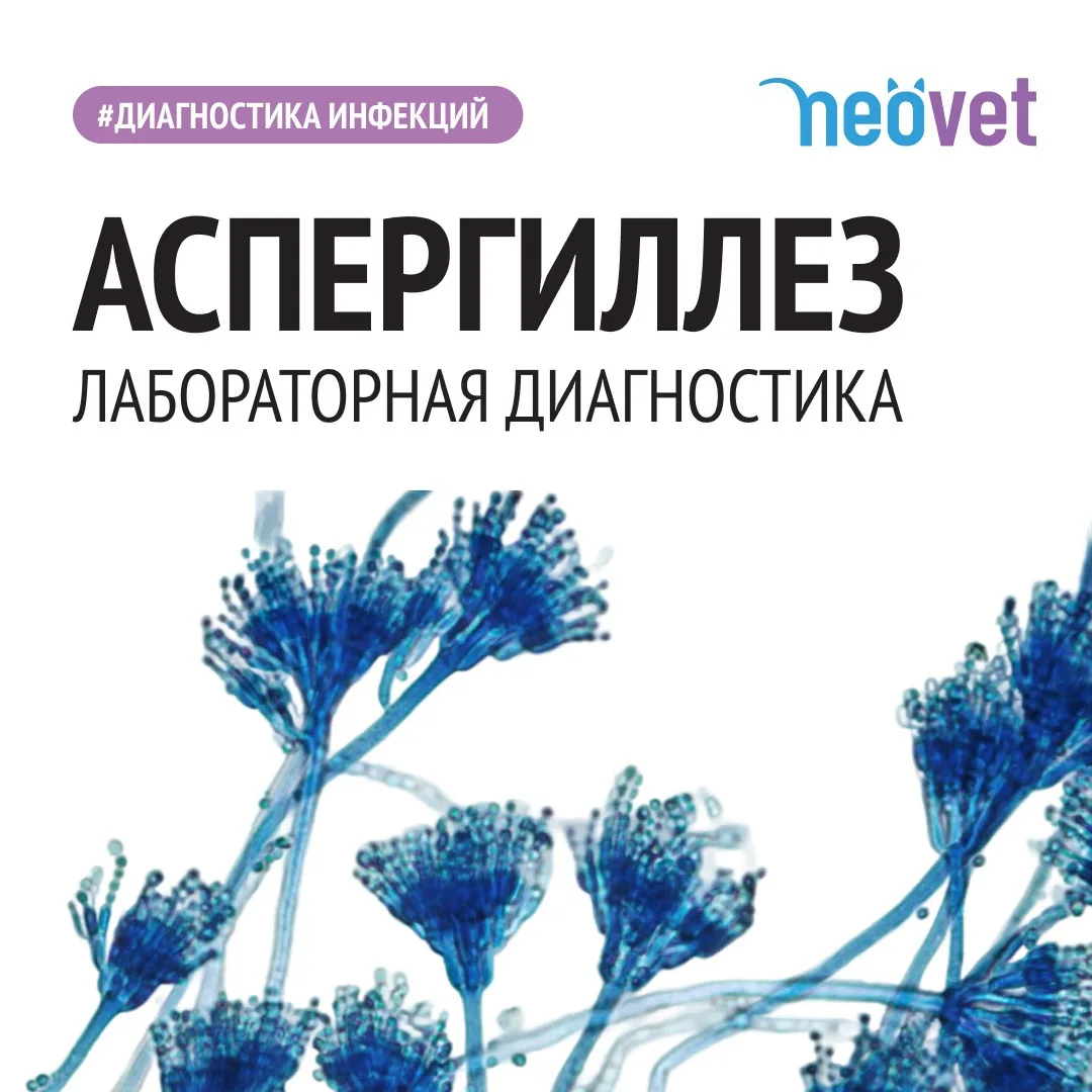 #диагностика_инфекций