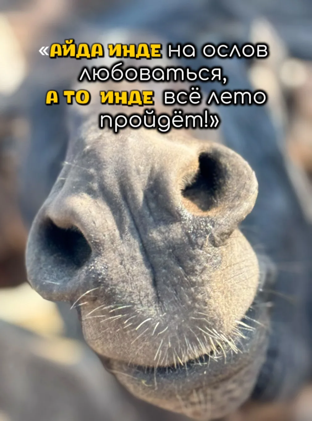 Говорила мне няняечка, учи татарский.