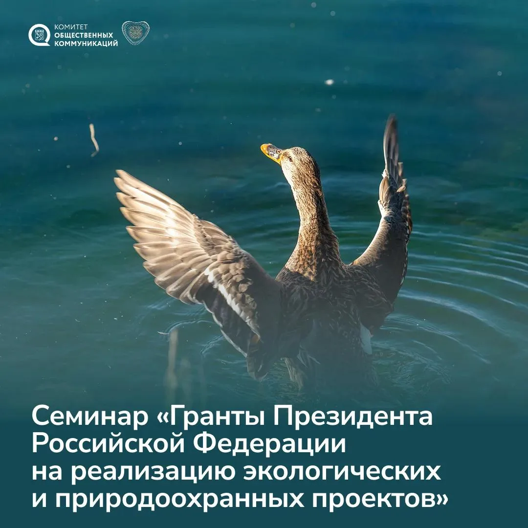 Президентский фонд природы знаете? А мы его в гости пригласили!🍀