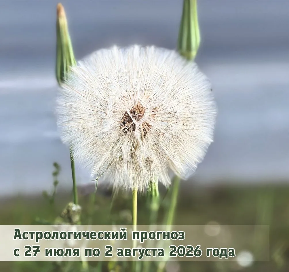 ОВЕН (21.03 - 20.04).
В начале недели возможно обострение отношений с начальством. Идеи сохраните по