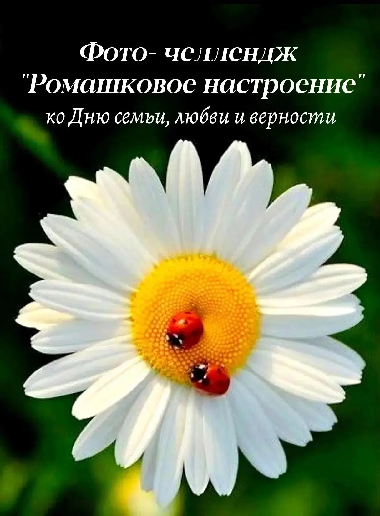 В рамках всероссийской акции «Рядом с родными» празднуем День семьи, любви и верности вместе! Фото-ч