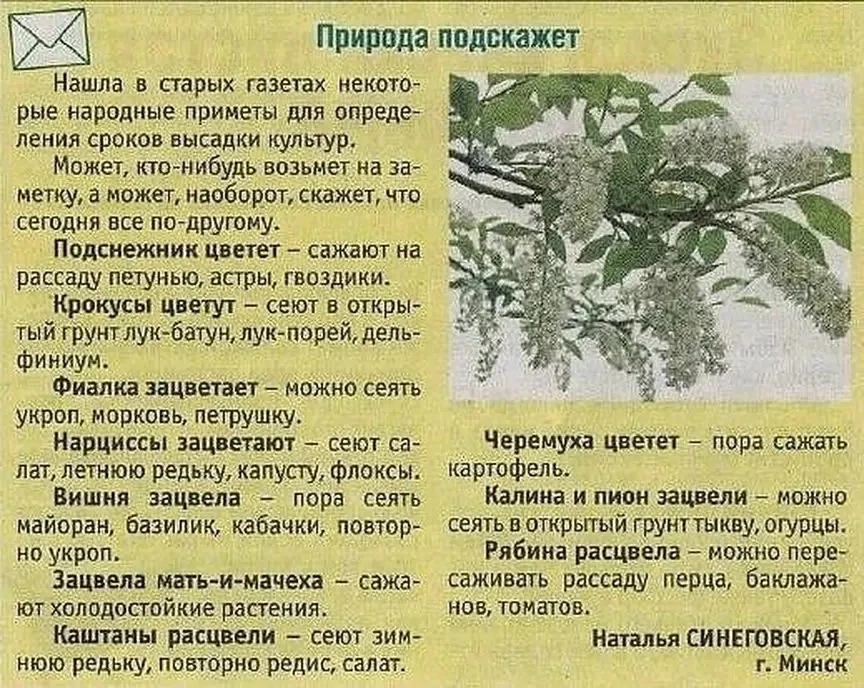 Природа в помощь садоводу.