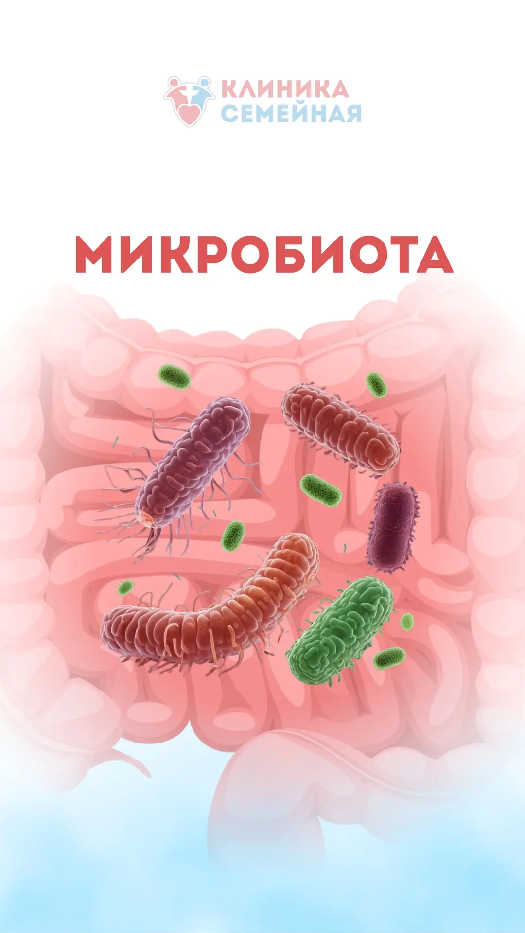 🏙️ Внутри вас живёт целый город. И от его жителей зависит ваше здоровье