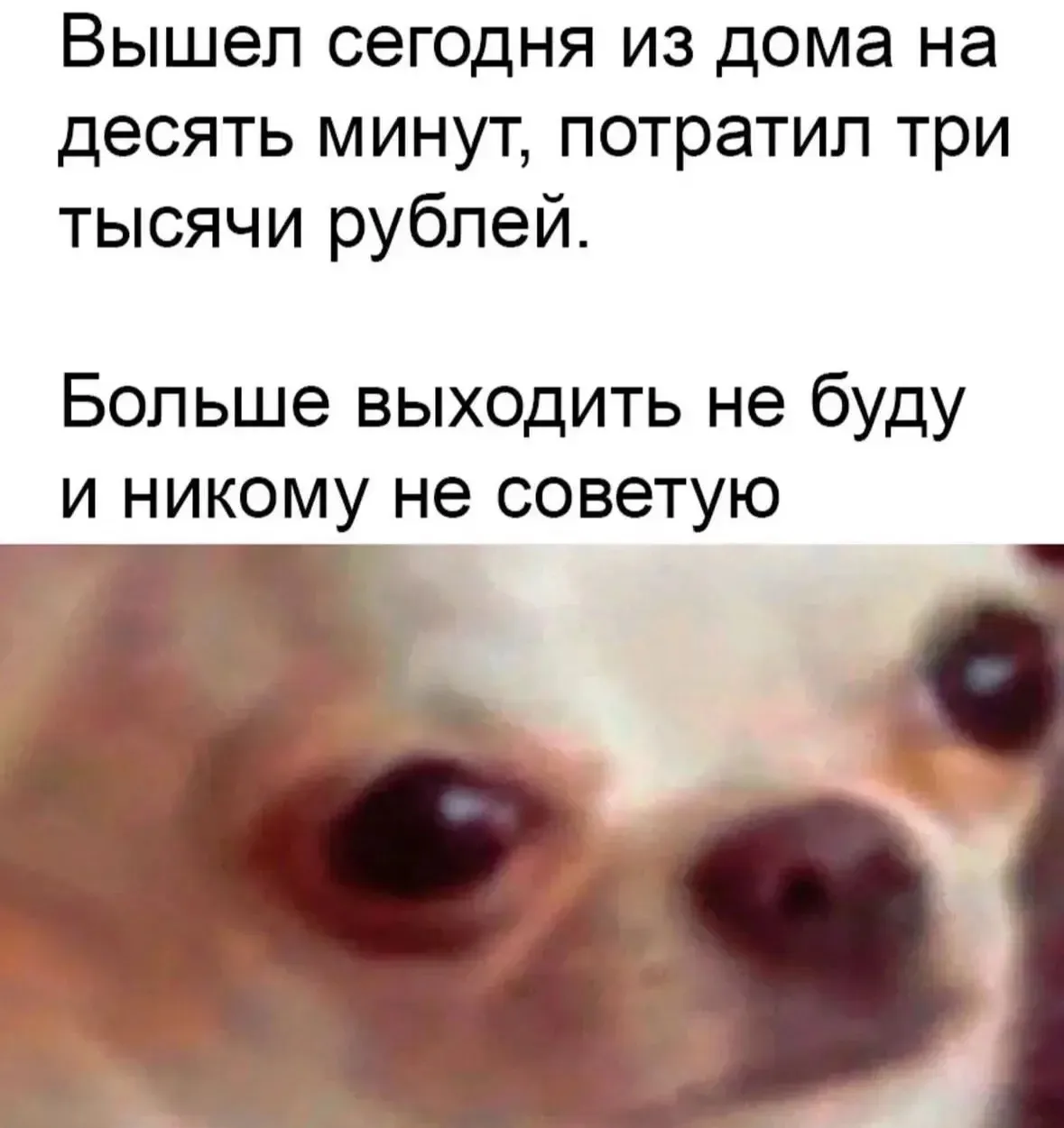 😂🙊