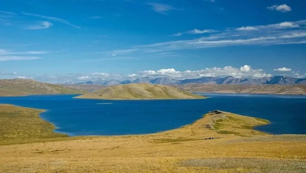 Ответ на фото-загадку  👇🏻