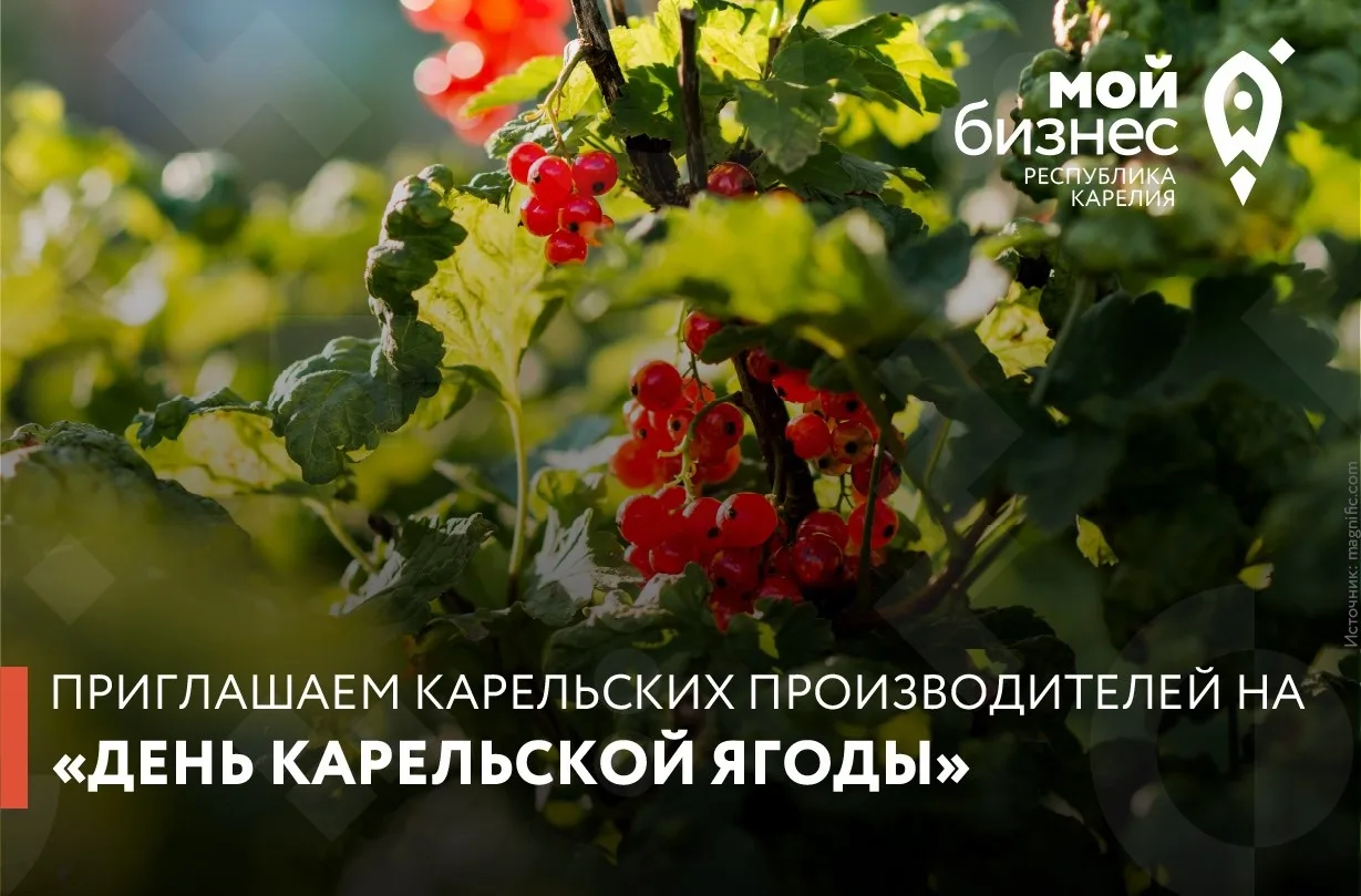 «День карельской ягоды» — приглашаем предпринимателей к участию!🍓