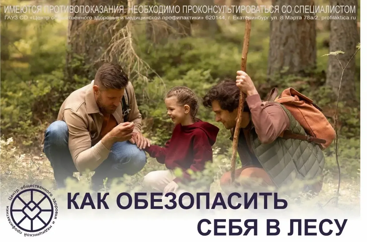 Лето – пора сбора грибов, ягод и трав. Перед походом за дарами природы изучите карту ра...