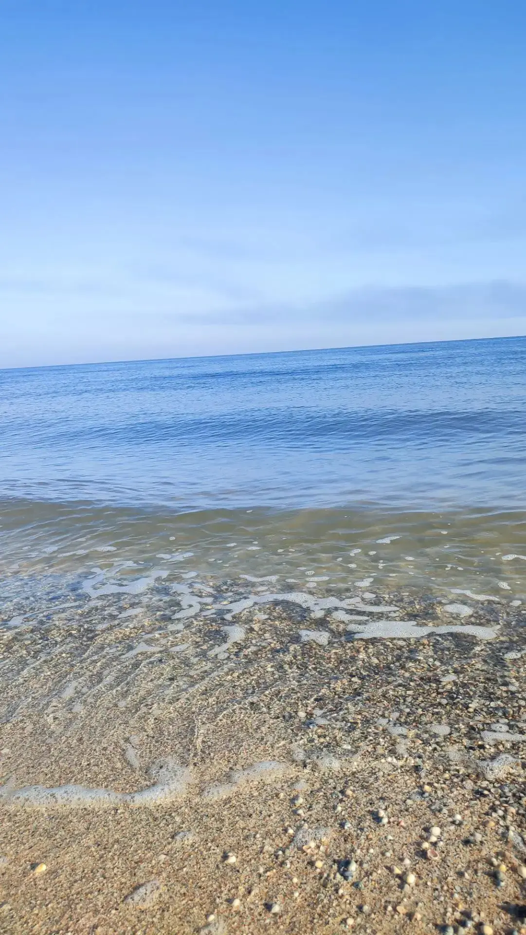 Доброе утро 🐬