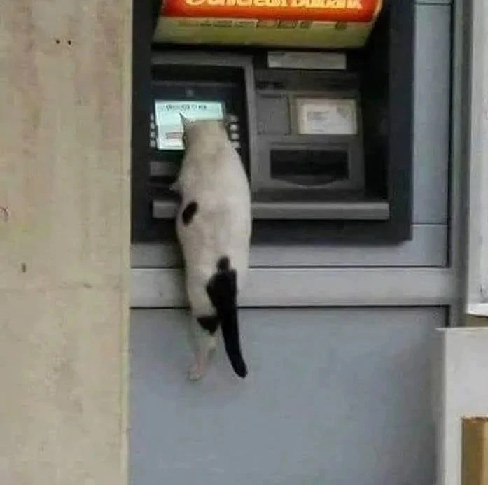 💳 Нашли чужую карту в банкомате? Осторожно, вы можете стать жертвой новой схемы мошенн...