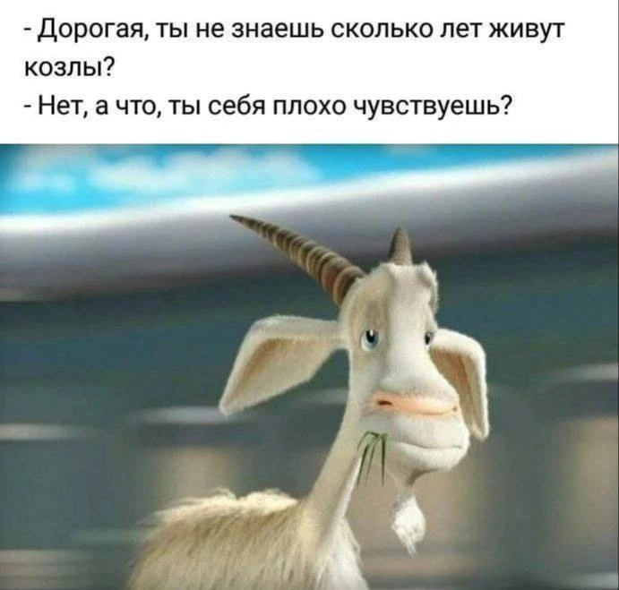 Я девочка, мне можно!