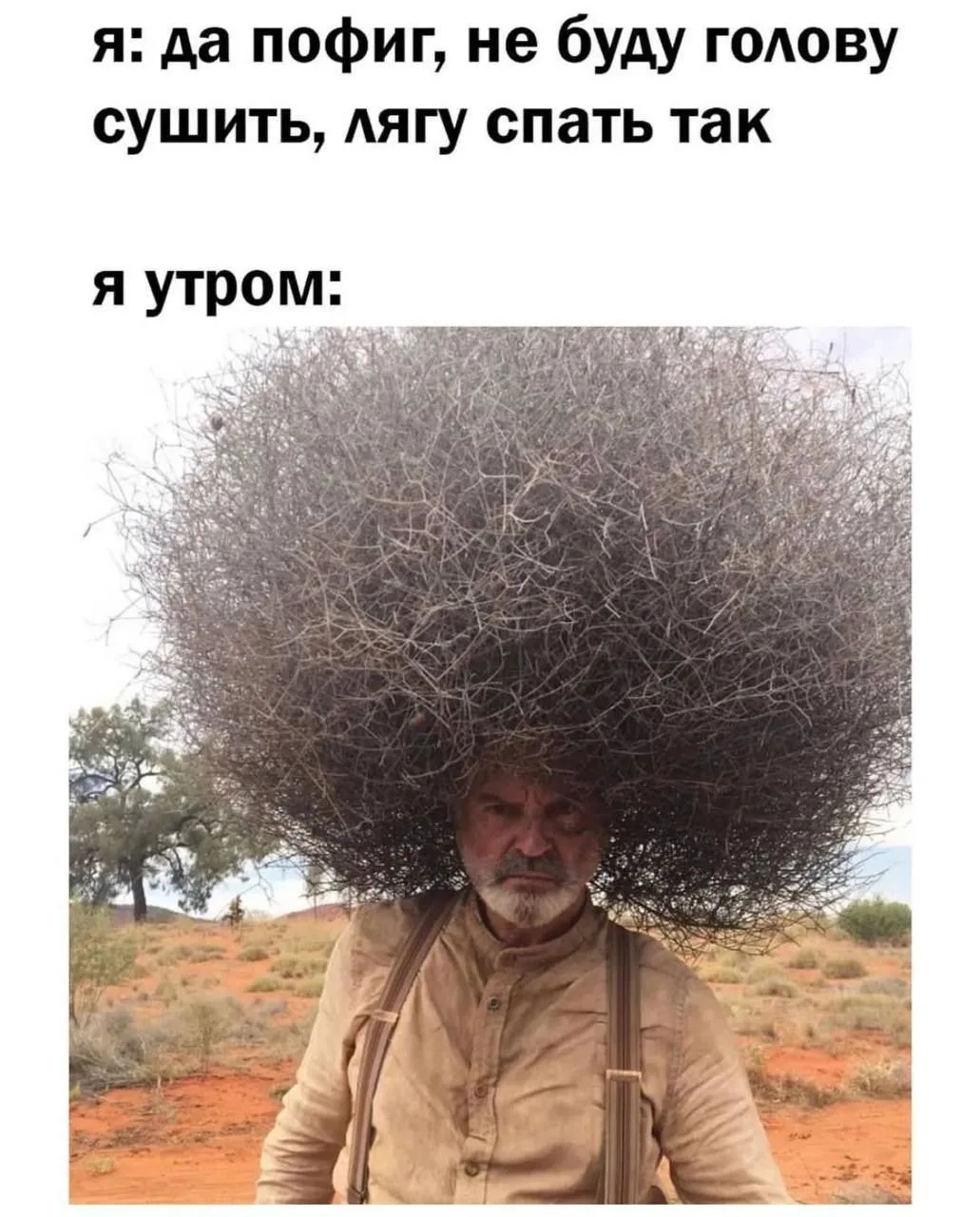 Кактус