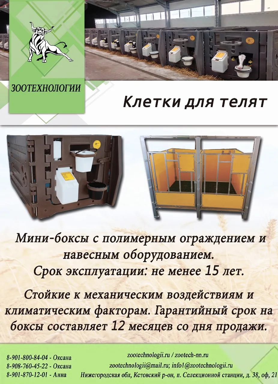 🐄 Отдельный домик для телёнка: клетка из полимера — служит 15 лет, не гниёт, не ржавеет.

Коллеги, 