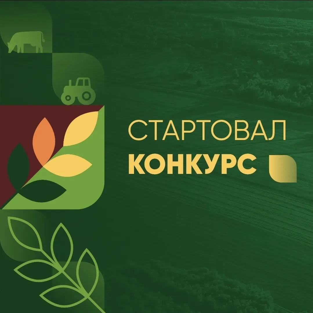 🚨 Старт международного конкурса «Вместе против коррупции!»