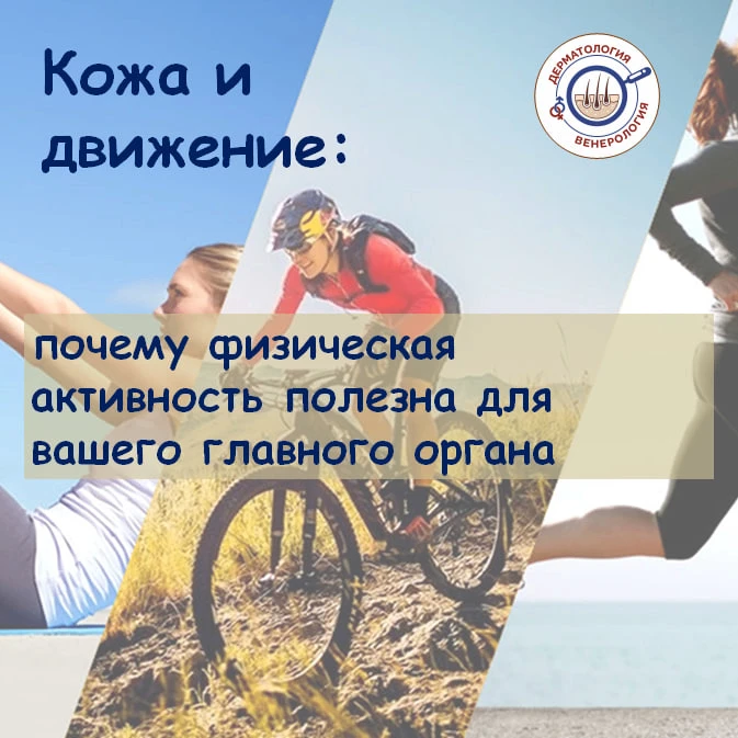 Мы привыкли думать, что спорт полезен для сердца, сосудов, лёгких и фигуры. Но мало кто знает: кожа 
