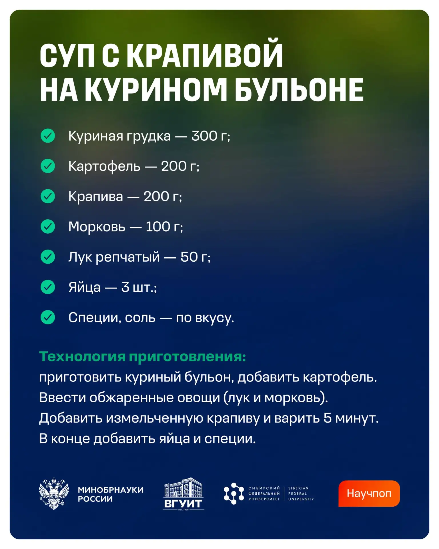 Что мы знаем о крапиве... Ну кроме того, что лучшее ее руками не трогать 🤩