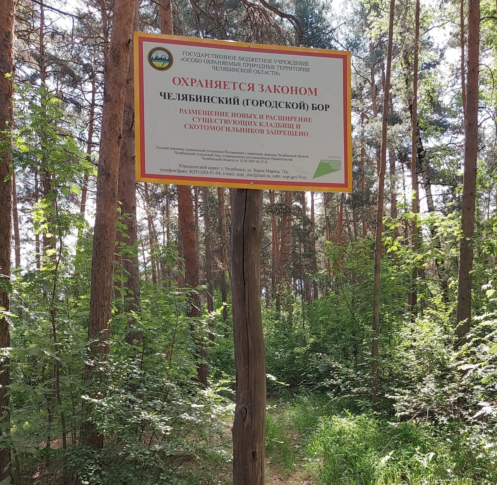 Экологи напоминают о недопустимости захоронения домашних животных на ООПТ