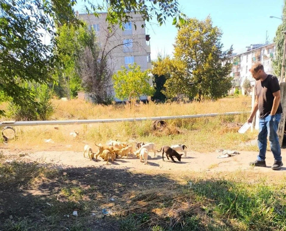 🐕 В Лисичанске продолжаются регулярные еженедельные рейды по отлову безнадзорных животных
