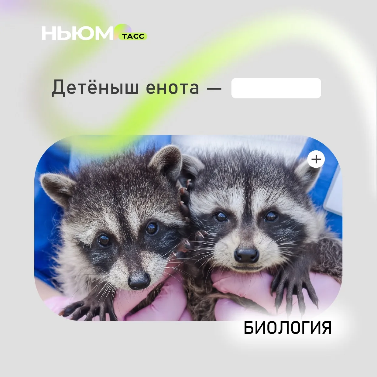 Проверим, как хорошо вы знаете биологию. В карточке спрятали слово. Попробуйте угадать.