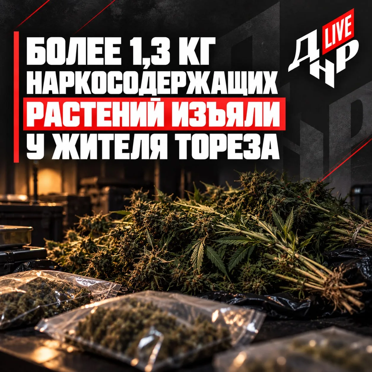 👮‍♂️ Более 1,3 кг наркосодержащих растений изъяли у жителя Тореза