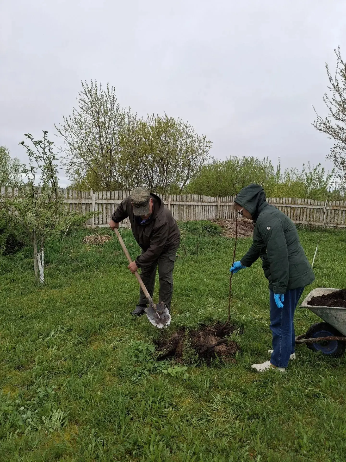 🌿Сад Победы  🏡🌳Днепровский дом-интернат для престарелых и инвалидов принял участие во всероссийской 