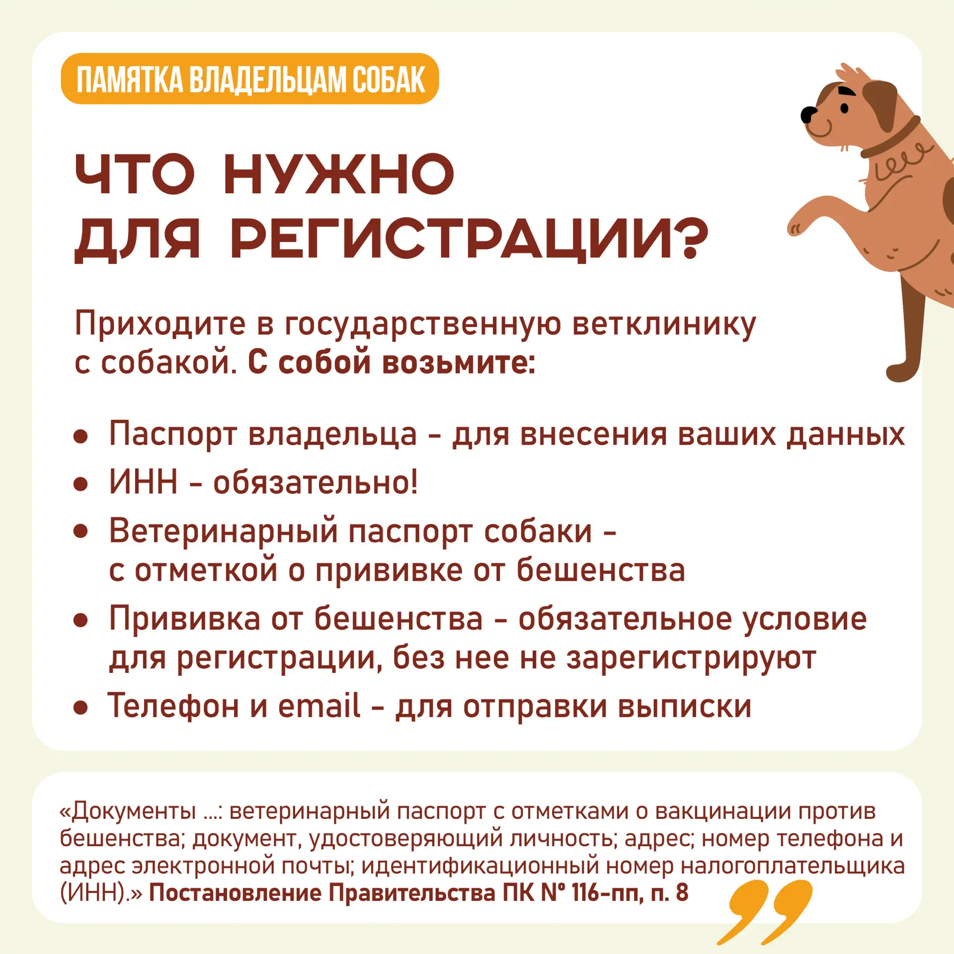 А у вас дома живет собака? Тогда вам нужно ее зарегистрировать!