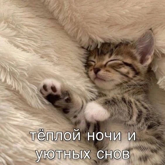 😴 всем спокойной ночи, но прежде чем идти напишите какие у вас были самые запоминающиеся сны)

выжи