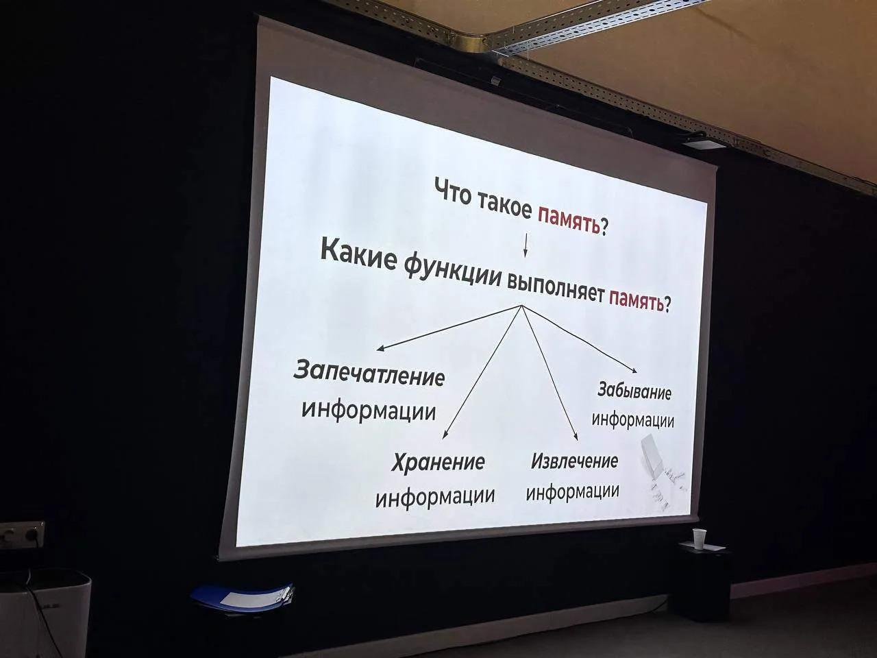 Ученики 7 «Д» естественно-научной вертикали посетили музей мозга.  Лицеисты познакомились с работой 