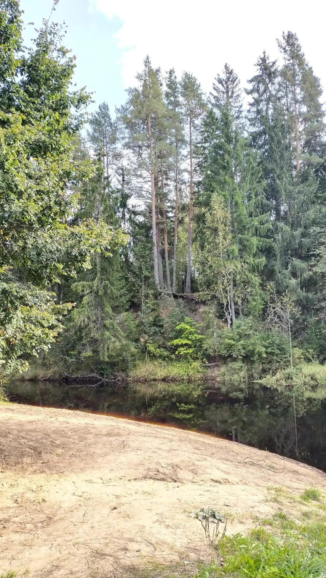 Сегодня вода в Кремянке прохладна, свежа, около +11...+12, однако в воздухе жарко, - ок...