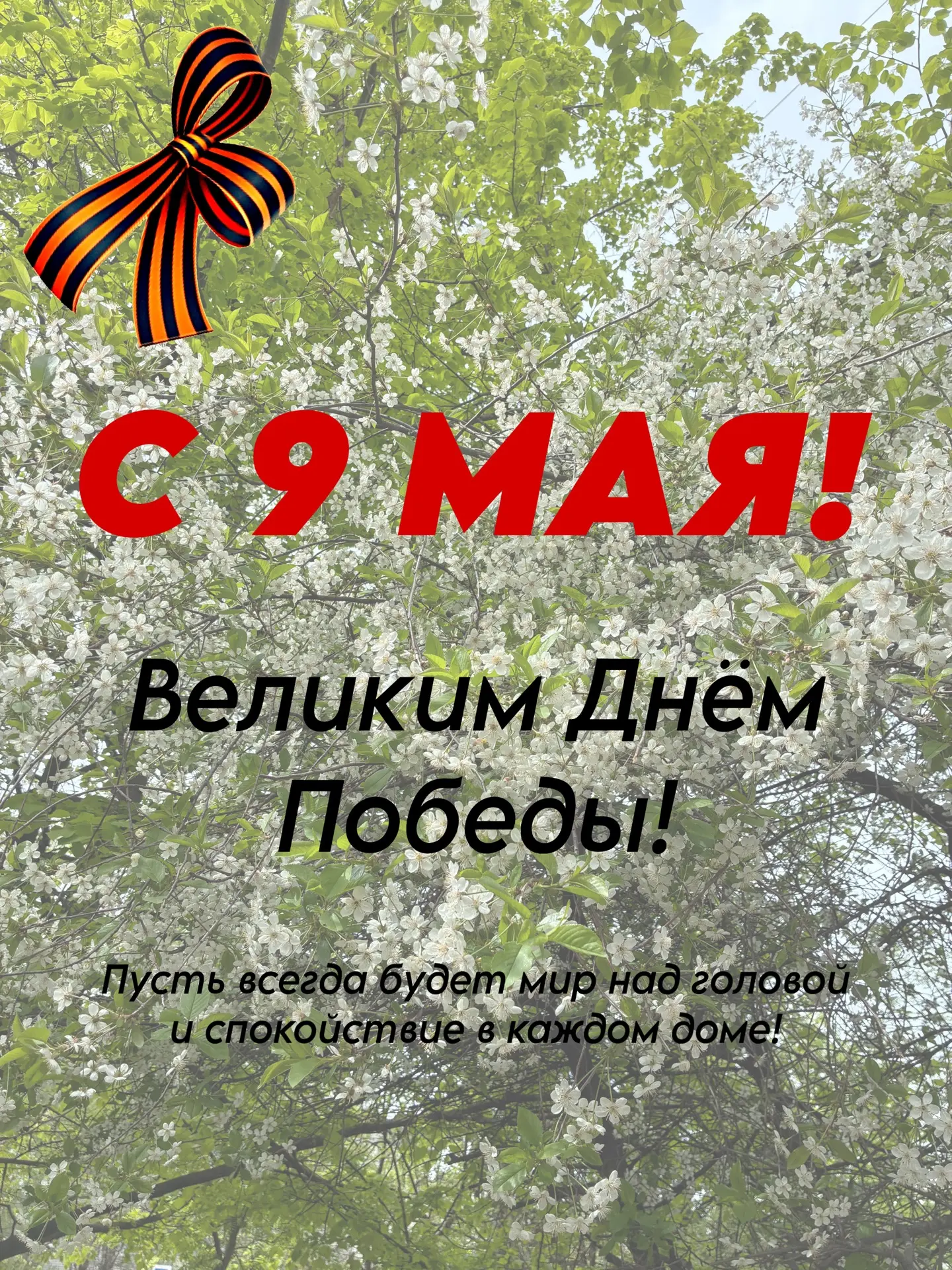С 9 Мая, дорогие друзья! 🕊️