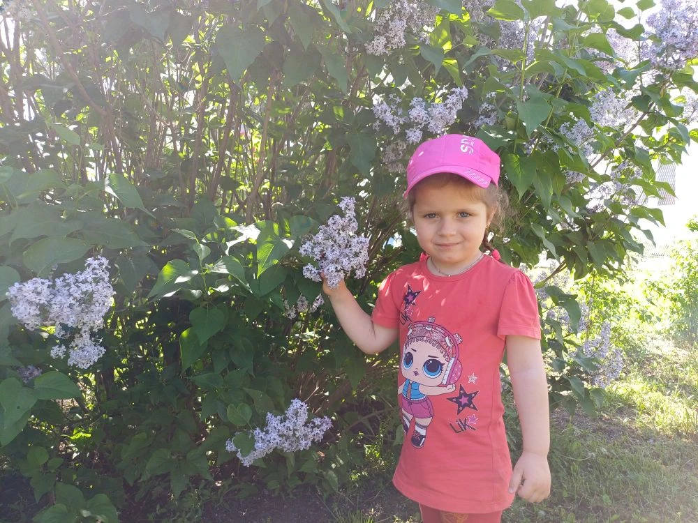 ⭐️18 мая отмечали Международный день сирени.