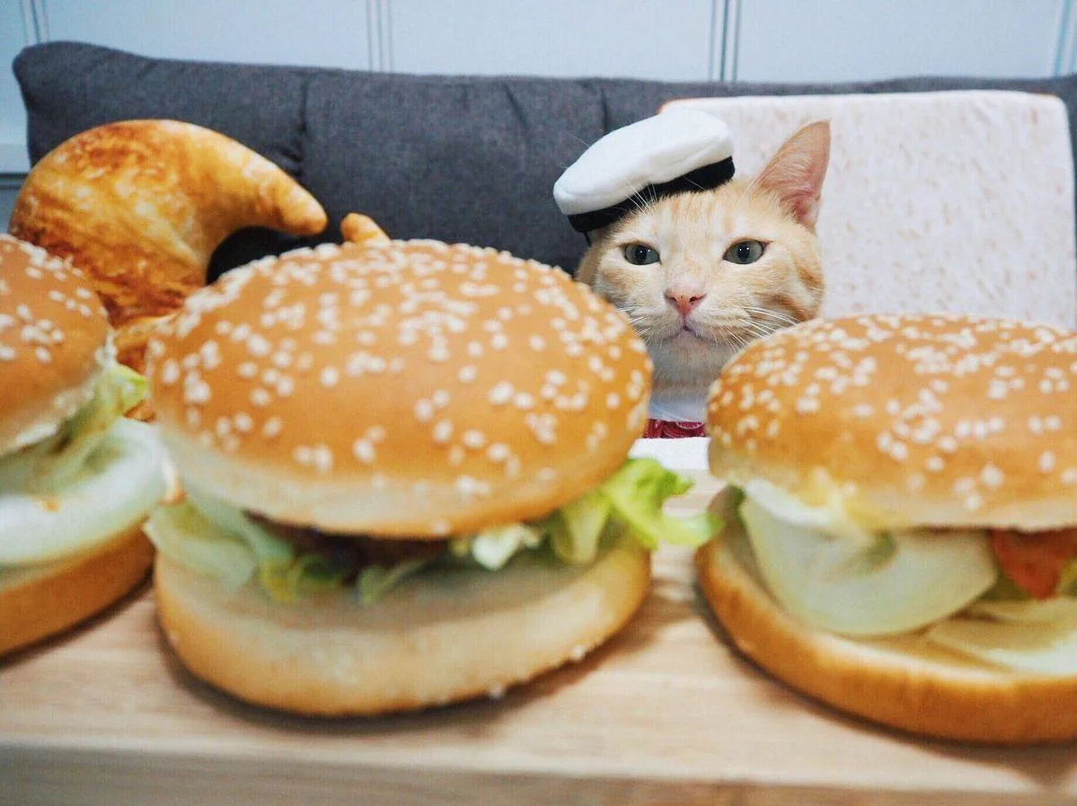 🍔 День рождения гамбургера отмечается сегодня 27 июля

- Отправляйте тому, с кем сегодня планируете