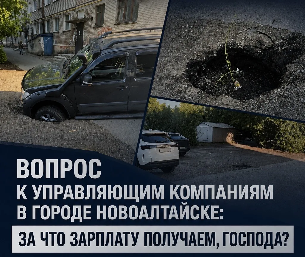 Сегодня активист ЛДПР сообщил мне о происшествии, которое произошло в Новоалтайске на у...