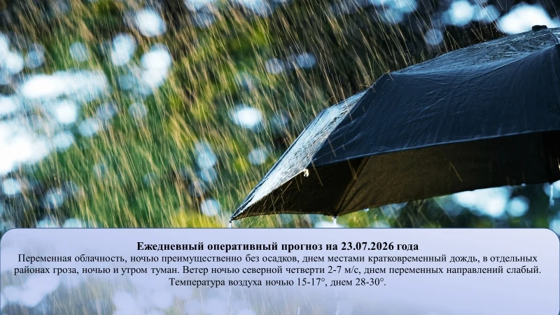 На основании ежедневного оперативного прогноза от ГКУ «ТЦМ» #НижнийТагил #ЕДДС #Погода
