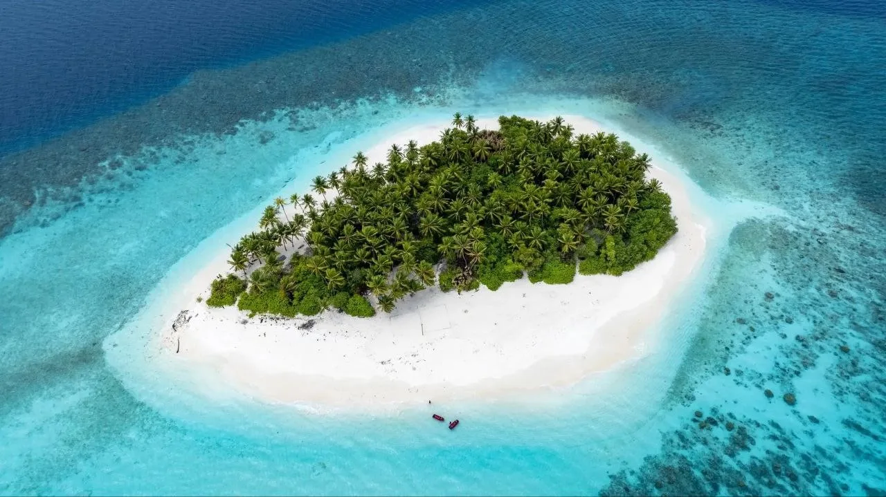 🌴Классный резорт на Мальдивах

📍RIU ATOLL

Райский остров, где вы будете наслаждаться незабываемым