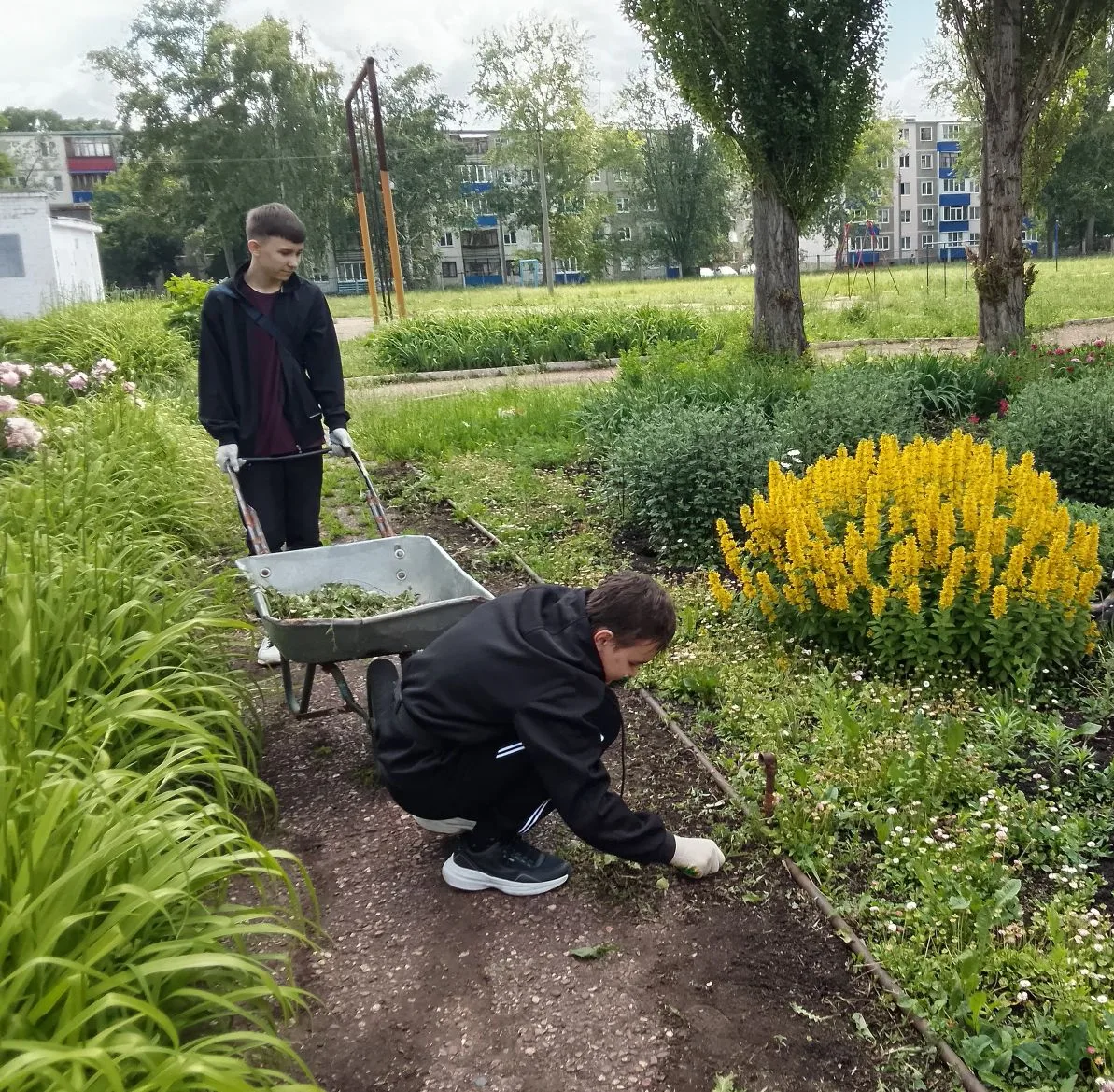 ОДИН ДЕНЬ В ТРУДОВОМ ЛАГЕРЕ

Ребята нашей школы продолжают свою работу в летнем лагере труда и отдых