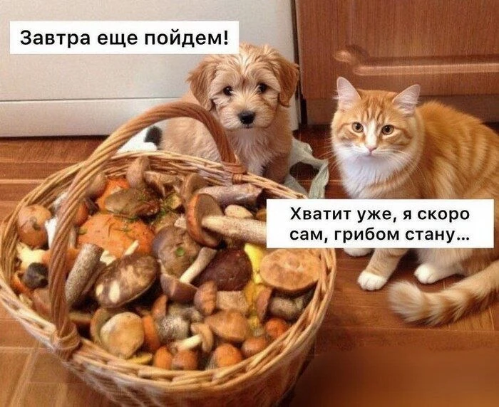 ☀️ В Майкопе солнечно и до +13°С