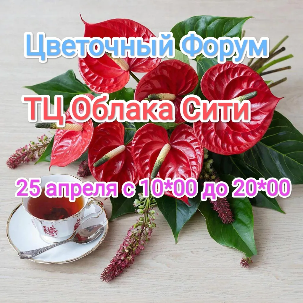 🌿 Весна в каждом горшке! 🌿