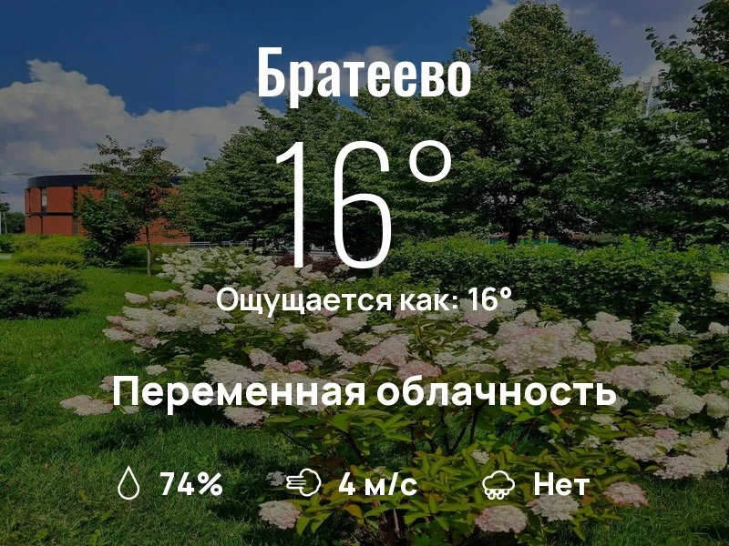 Что с погодой в Братеево?