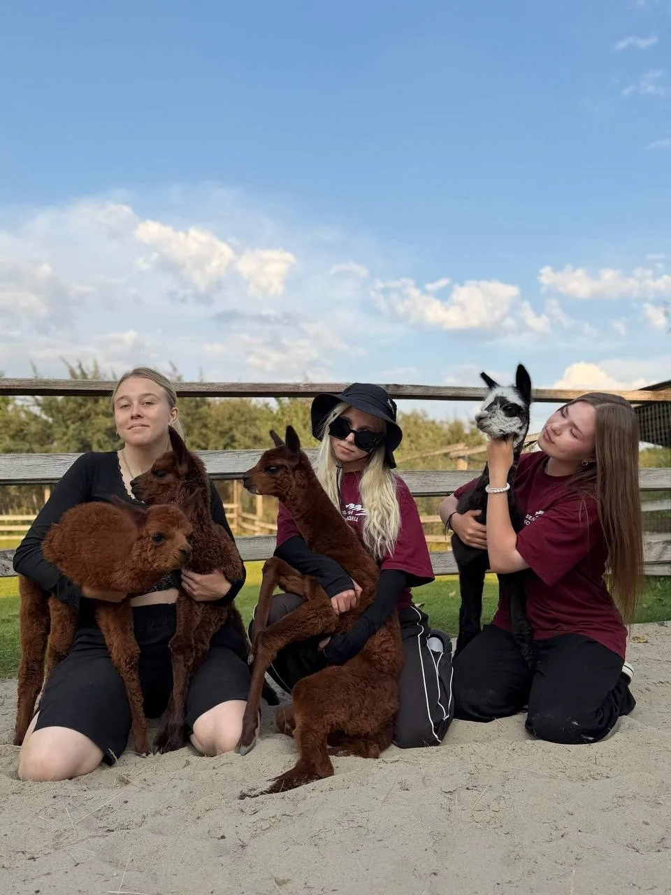 😍 В парке альпак настоящий прекрасный бейби-бум