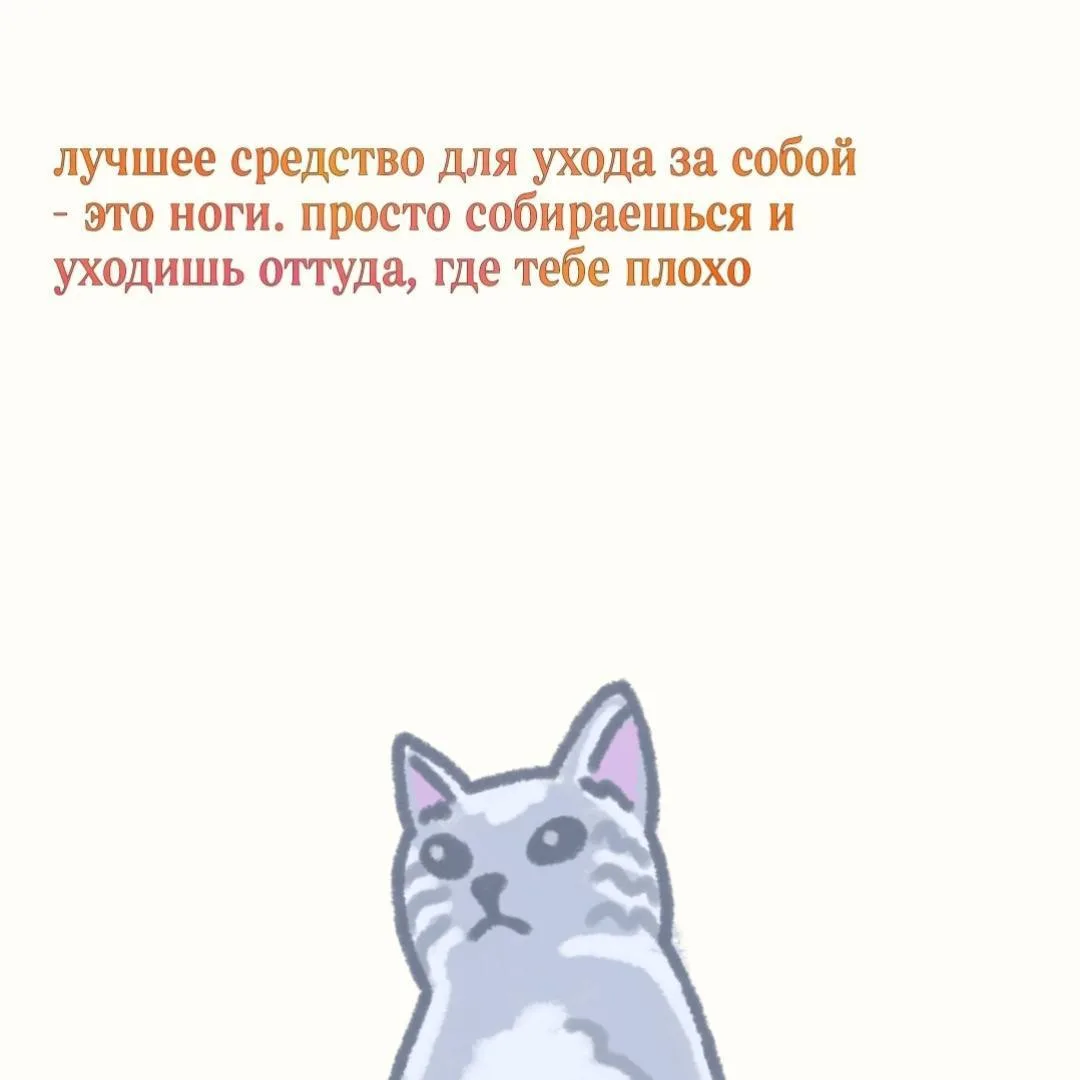 🐱 Напоминание на ночь