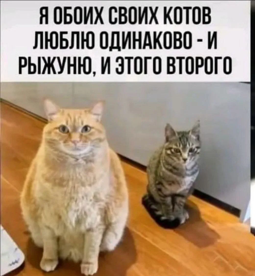 Женский юмор