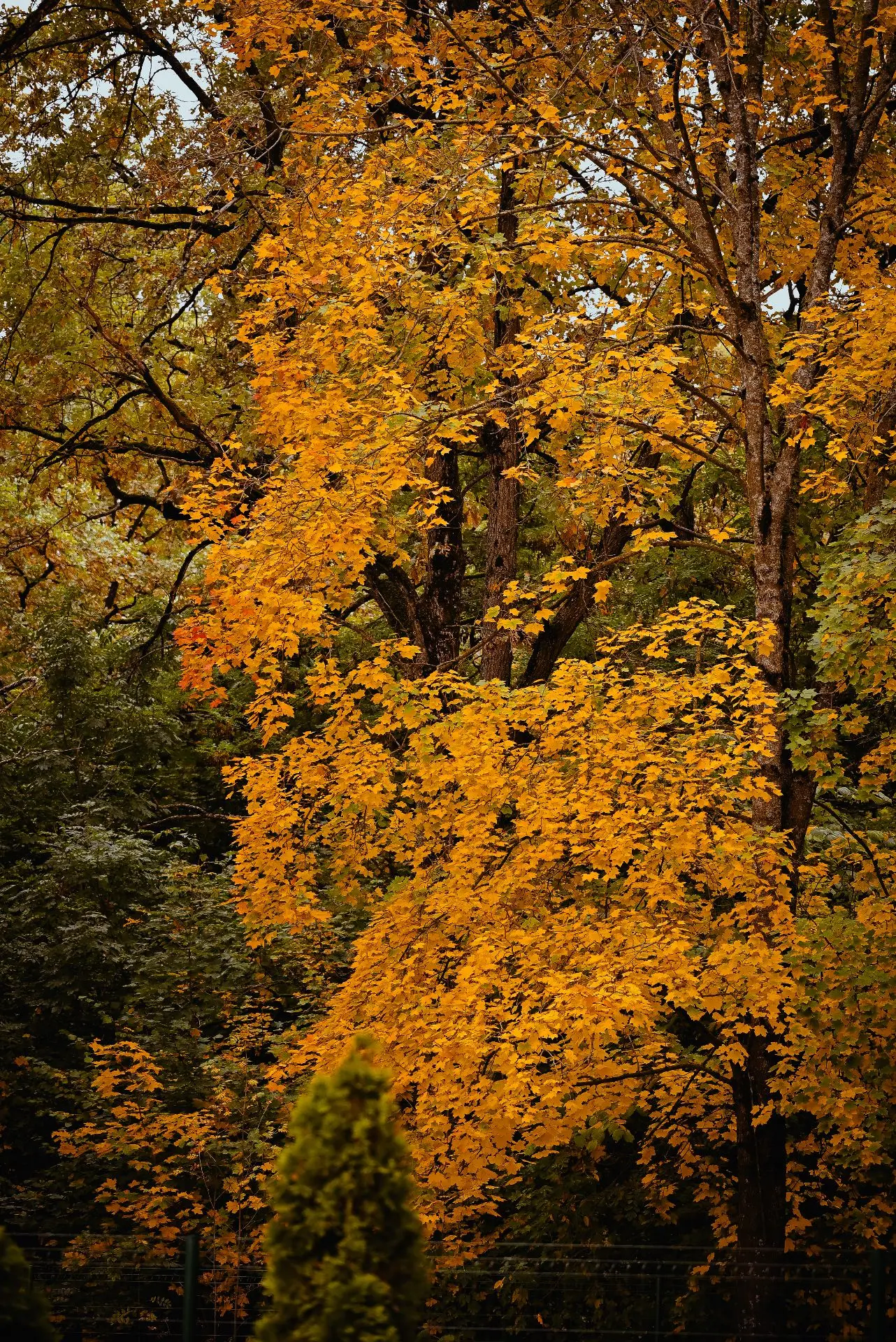 Щёкинский район встречает октябрь 🍁