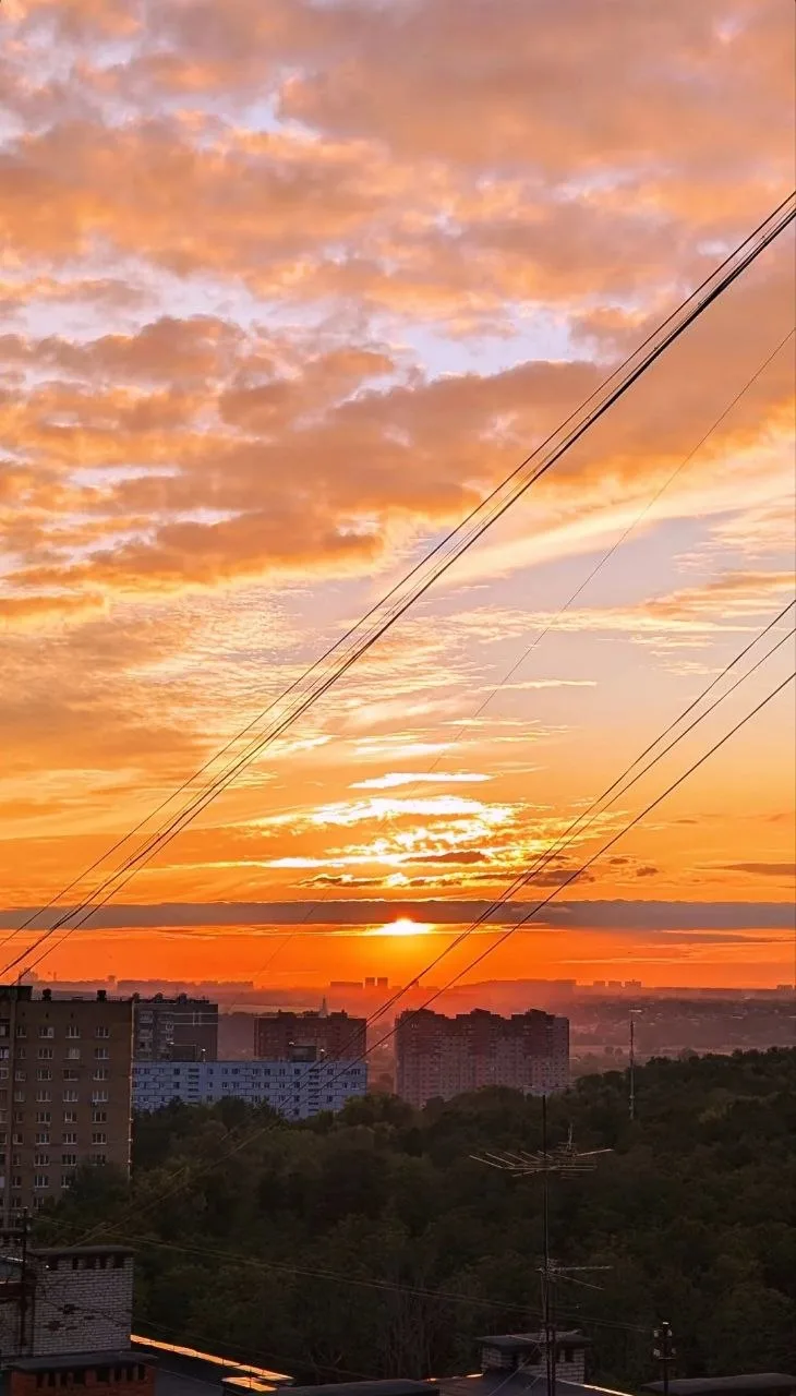 Ваши закатики