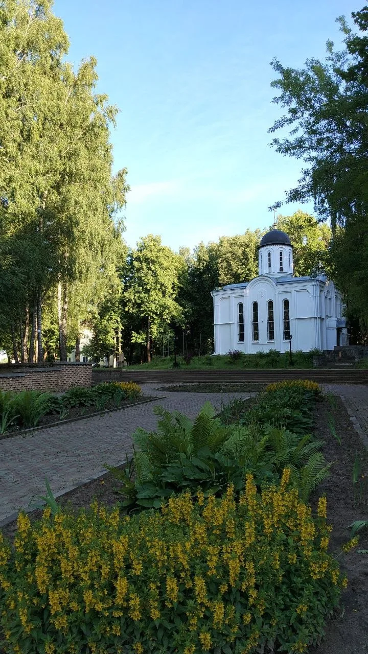 Доброе утро, Ярцевчане! ☀️

Сегодня, 31 июля, в Ярцево ожидается:
🌥️ Погода: ясно, осадков не ожида