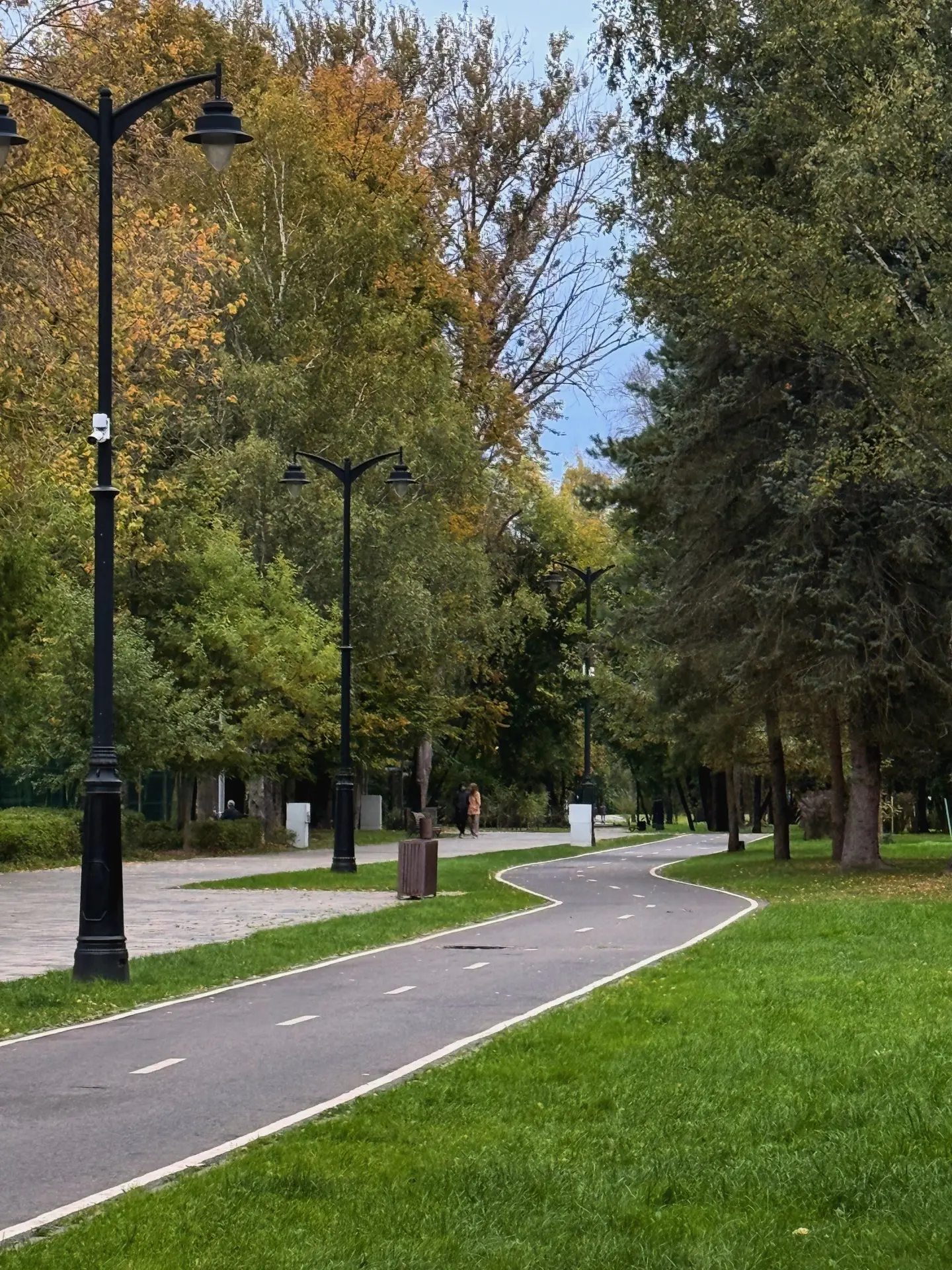 ☀️ До +20 градусов может прогреться воздух в Дубне на этой неделе.