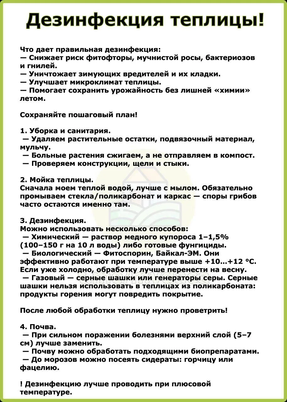 Дезинфекция теплицы 🧊