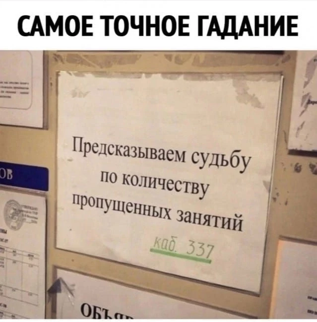С началом сессии! Пусть все хвосты окажутся кошачьими.😂