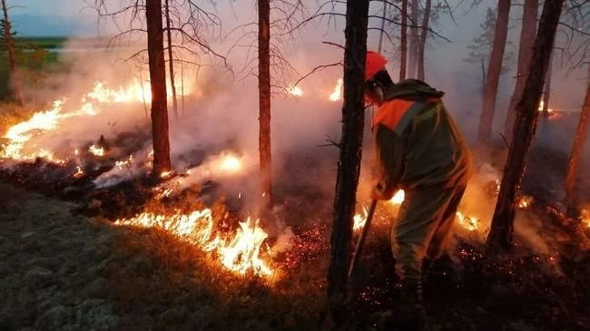 🔥 С 30 апреля в Башкирии вводят особый противопожарный режим