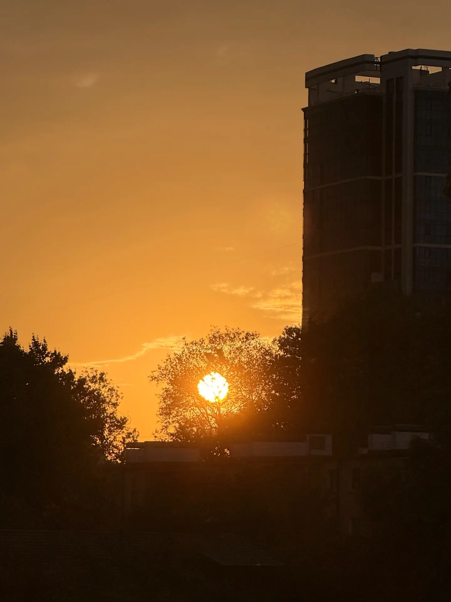 Закат сегодня🌇