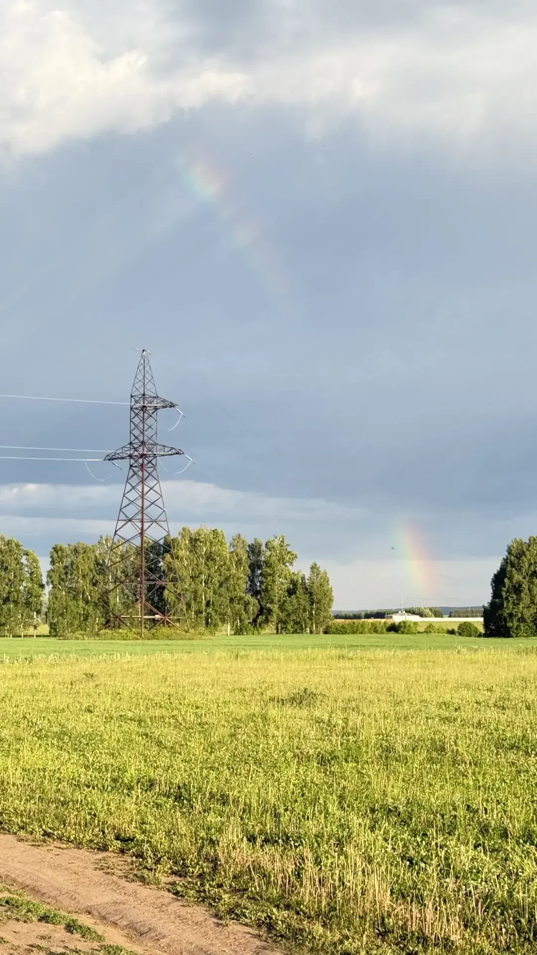 ☀️Прогноз погоды на 16 июня в Кукморском районе

16 июня в Кукморском районе ожидается переменная об